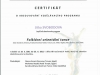 folklorni_orientalni-tanec