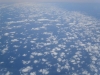 IF
